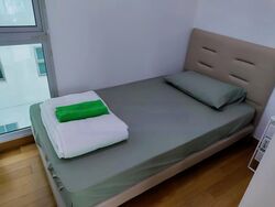 Eight Riversuites (D12), Condominium #505377561